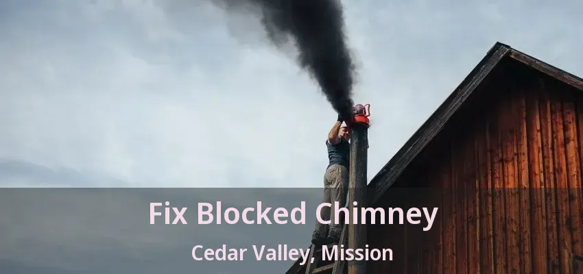 Fix Blocked Chimney Cedar Valley, Mission - BC
