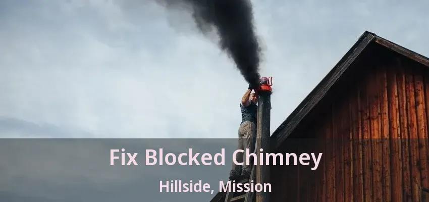 Fix Blocked Chimney Hillside, Mission - BC