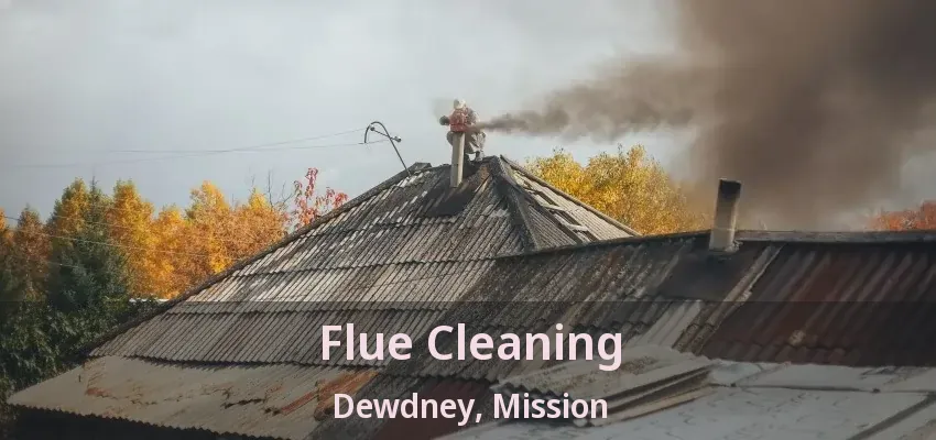 Flue Cleaning Dewdney, Mission - BC