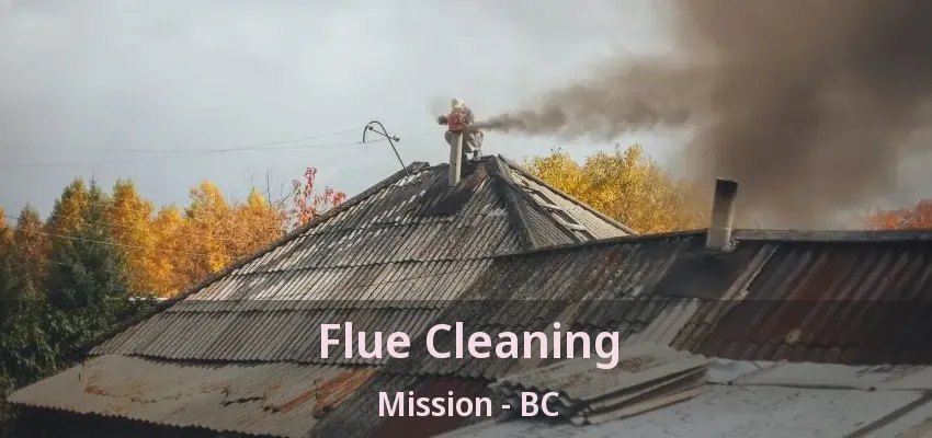 Flue Cleaning Mission - BC