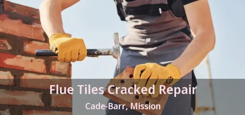 Flue Tiles Cracked Repair Cade-Barr, Mission - BC
