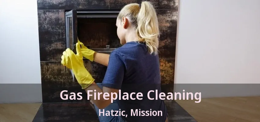 Gas Fireplace Cleaning Hatzic, Mission - BC