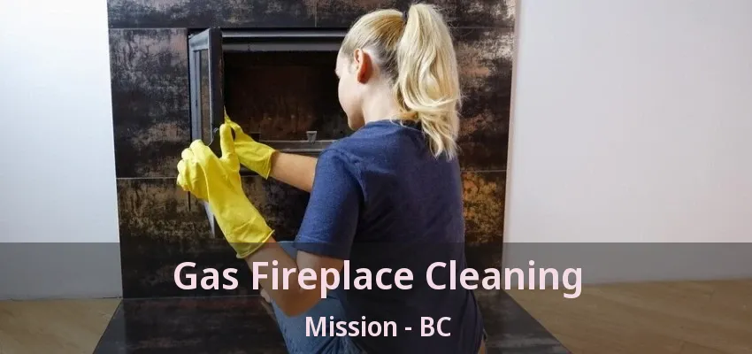 Gas Fireplace Cleaning Mission - BC