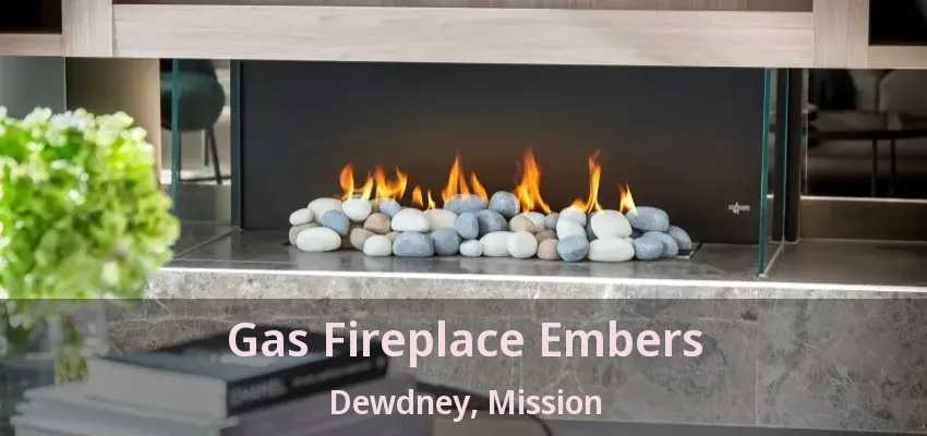 Gas Fireplace Embers Dewdney, Mission - BC