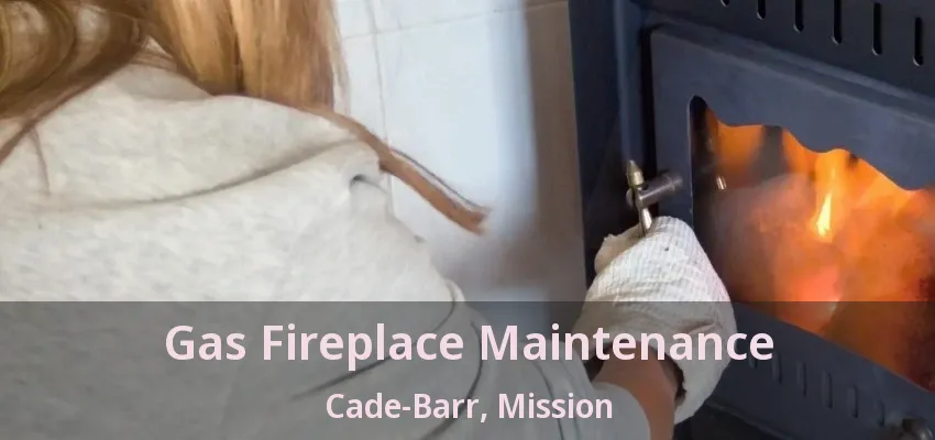 Gas Fireplace Maintenance Cade-Barr, Mission - BC