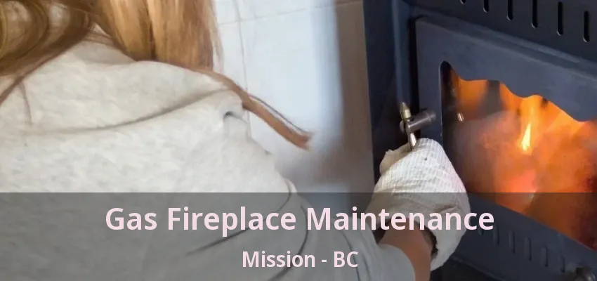 Gas Fireplace Maintenance Mission - BC