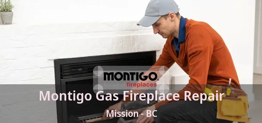 Montigo Gas Fireplace Repair Mission - BC