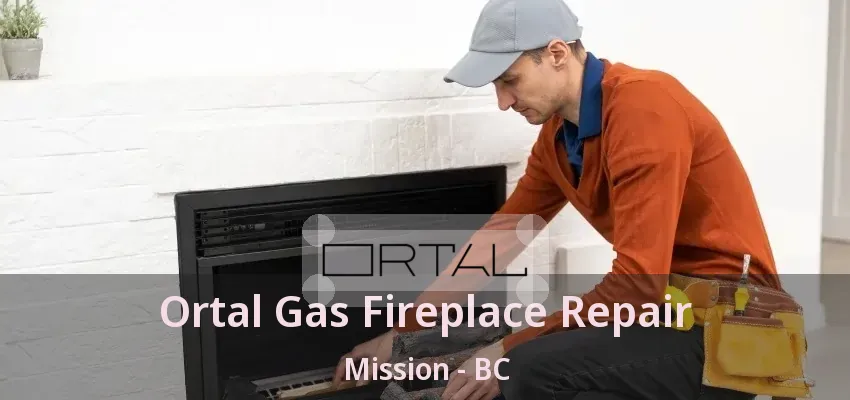 Ortal Gas Fireplace Repair Mission - BC