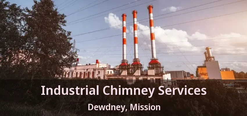 Industrial Chimney Services Dewdney, Mission - BC
