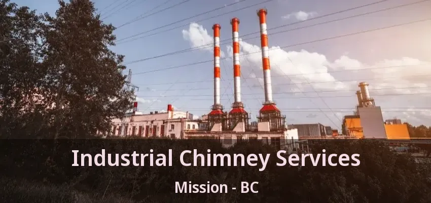 Industrial Chimney Services Mission - BC