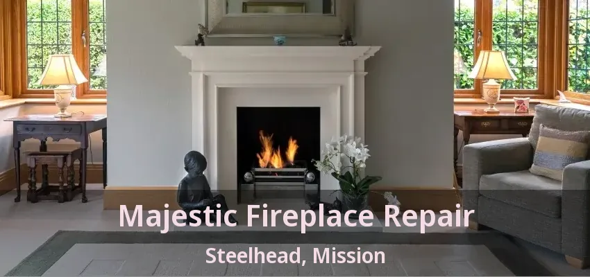Majestic Fireplace Repair Steelhead, Mission - BC