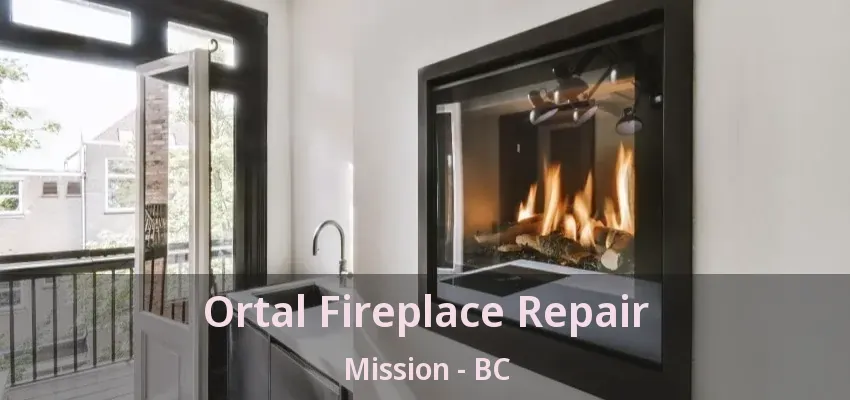Ortal Fireplace Repair Mission - BC