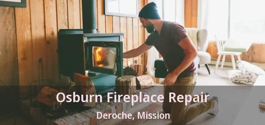 Osburn Fireplace Repair Deroche, Mission - BC