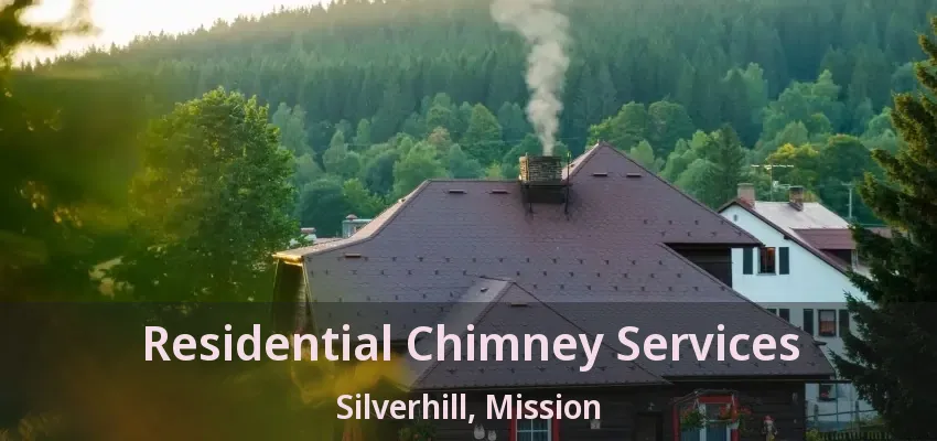 Residential Chimney Services Silverhill, Mission - BC
