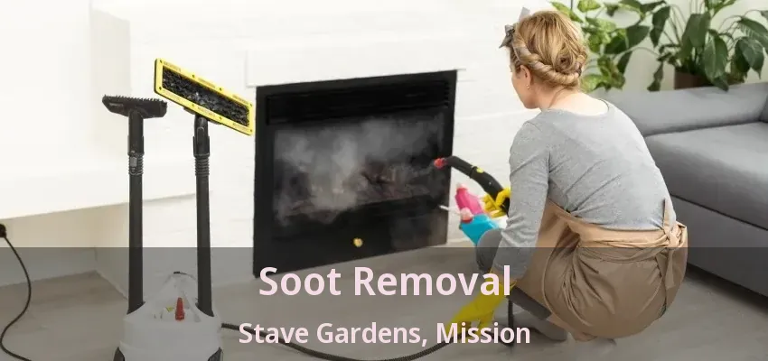 Soot Removal Stave Gardens, Mission - BC