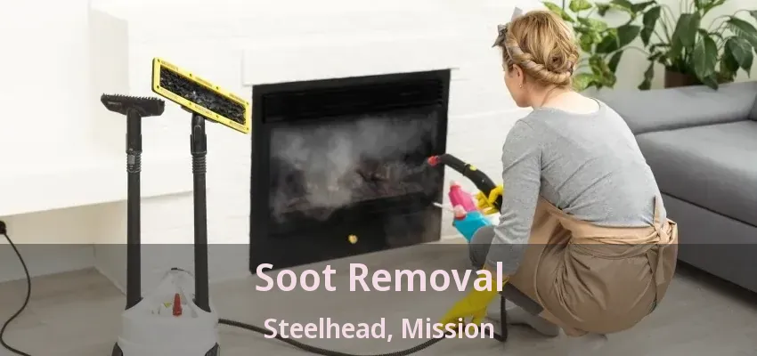 Soot Removal Steelhead, Mission - BC