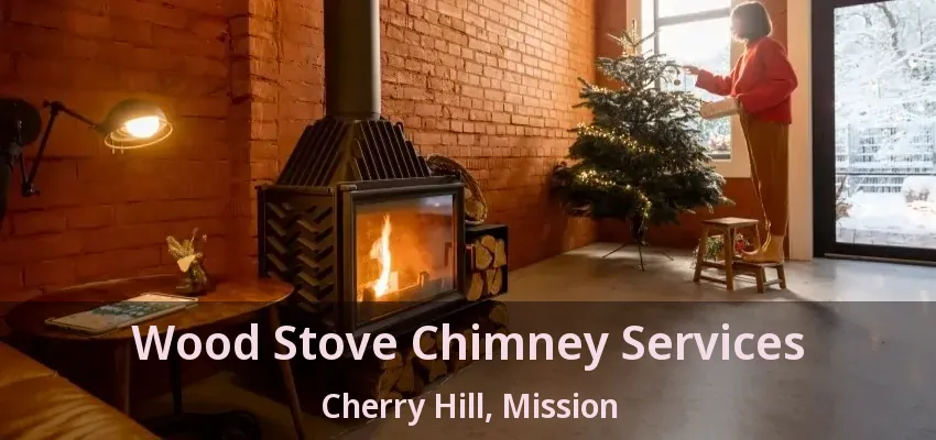 Wood Stove Chimney Services Cherry Hill, Mission - BC