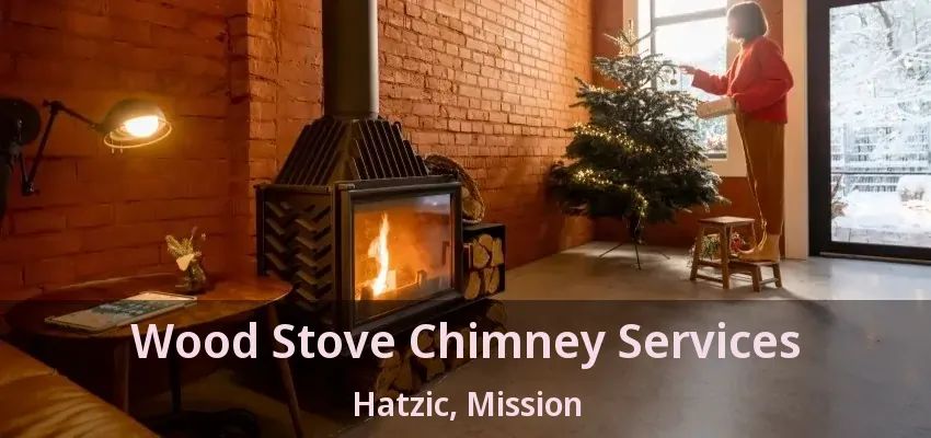 Wood Stove Chimney Services Hatzic, Mission - BC