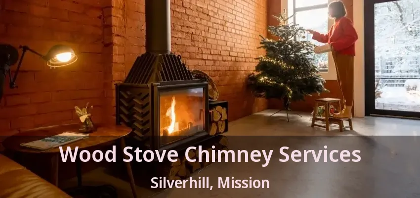 Wood Stove Chimney Services Silverhill, Mission - BC