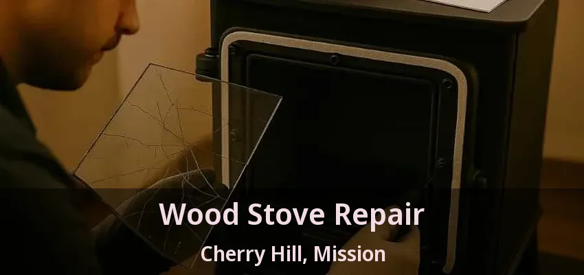 Wood Stove Repair Cherry Hill, Mission - BC