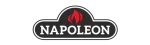 Napoleon Ortal Fireplace Repair in Mission